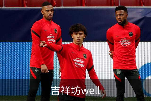 吉祥坊well公司简介